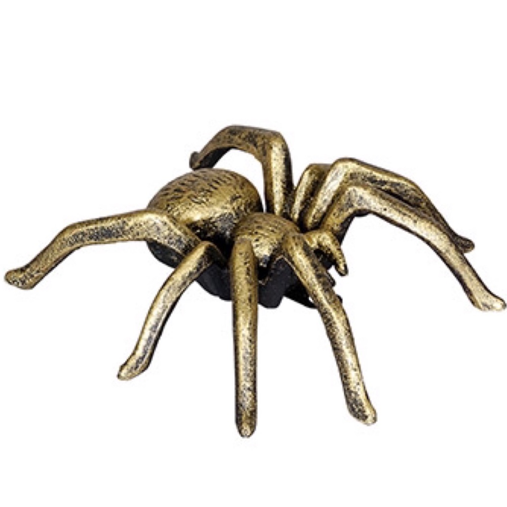 Tabletop Spider Ornament: Iron LAST ONE!
